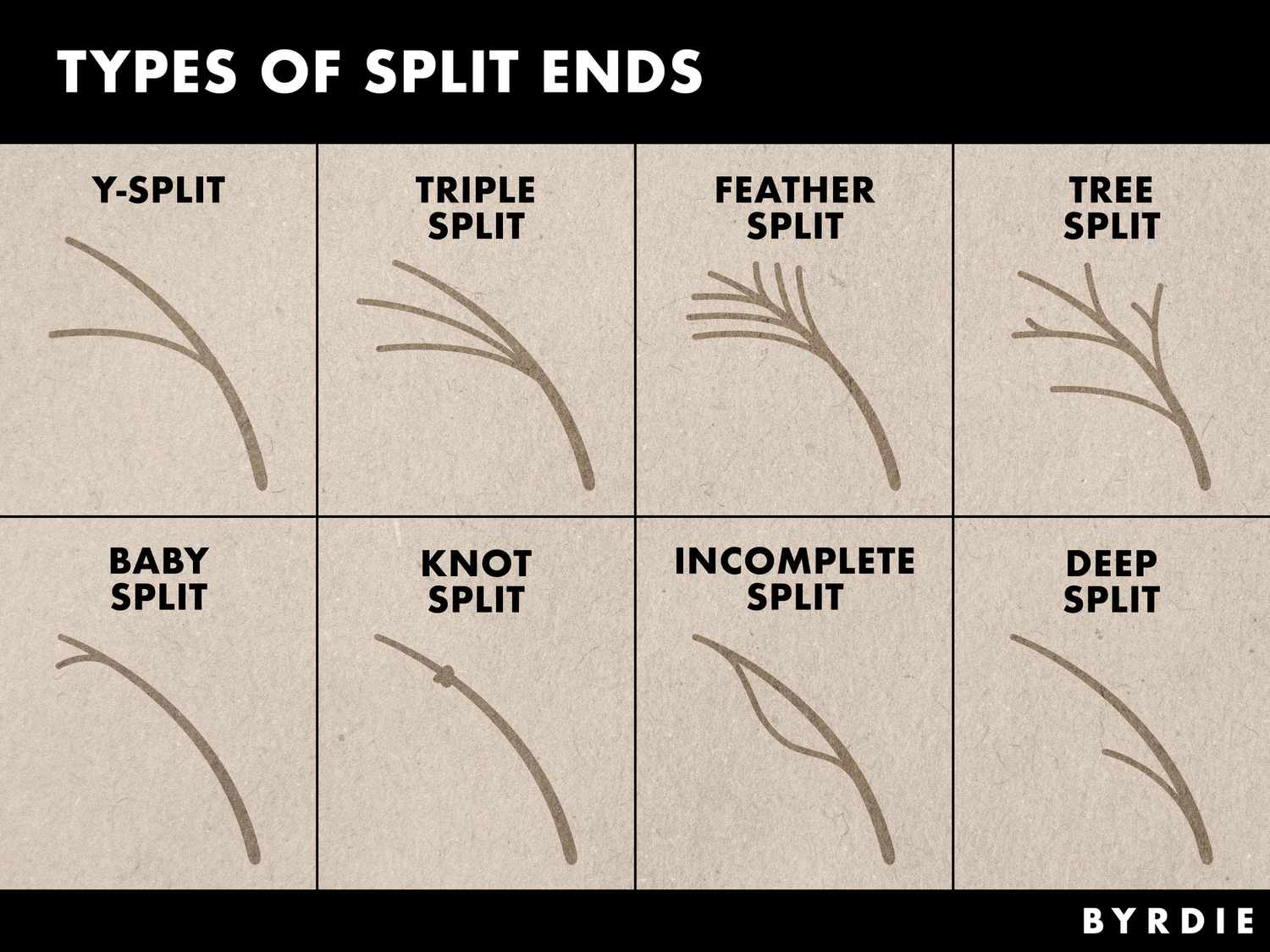 The different types of split ends